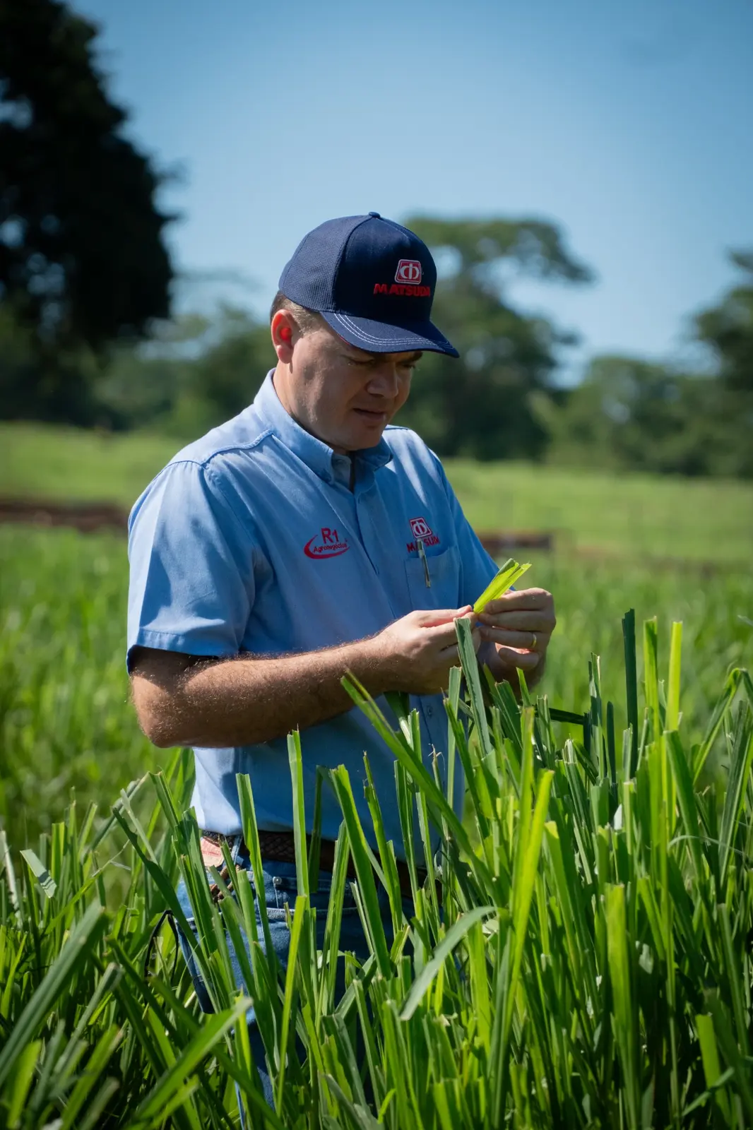 Lucas Moreira analisando uma planta no campo